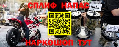 шишки Дубна