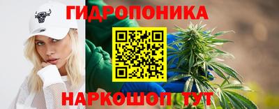 стаф Донской