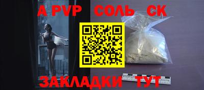 шишки Дубна