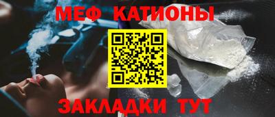 шишки Дубна